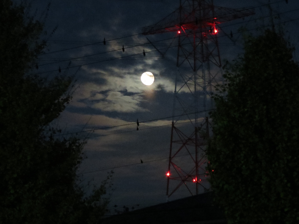 luna 9/15 moon